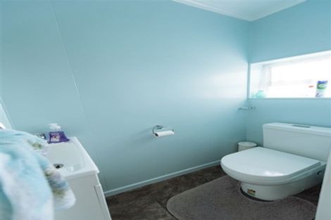 Photo of property in 75 Wilson Road, Balclutha, 9230