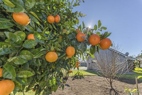 Photo of property in 95a Barrett Road, Whalers Gate, New Plymouth, 4310