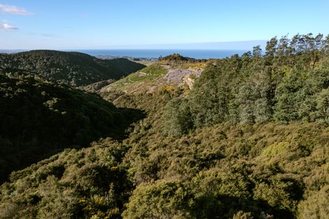 Photo of property in 24 Duncan Road, St Andrews, Hamilton, 3200