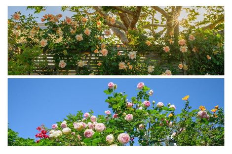 Photo of property in 45 Stephens Place, Hairini, Tauranga, 3112