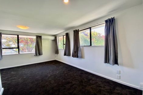 Photo of property in 20 Dobson Street, Spreydon, Christchurch, 8024