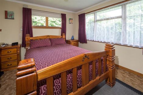 Photo of property in 133 Harland Street, Tinwald, Ashburton, 7700