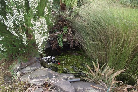 Photo of property in 50 Adams Street, Waihi, 3610