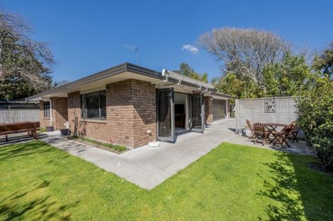 Photo of property in 112a Weraroa Road, Levin, 5510