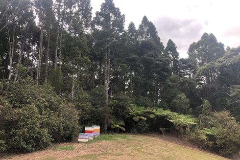 Photo of property in 152n Parker Road, Oratia, Auckland, 0604