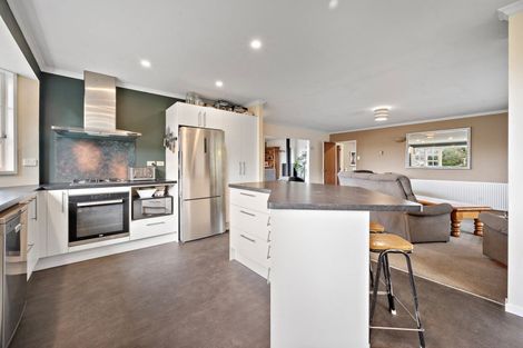 Photo of property in 217 Manuherikia Road, Springvale, Alexandra, 9393