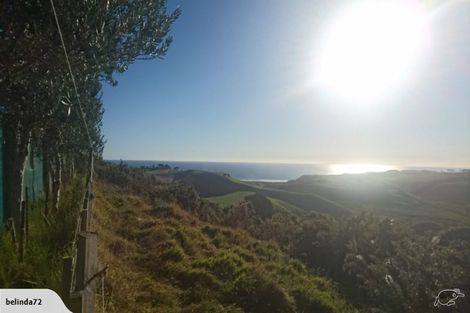 Photo of property in 420 Phillips Road, Raglan, Te Mata, 3894