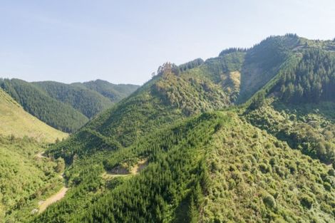 Photo of property in 641 Aniseed Valley Road, Aniseed Valley, Richmond, 7081