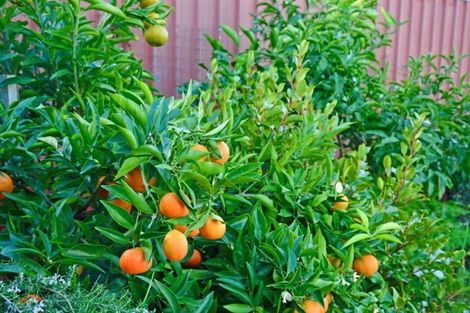 Photo of property in 4 Tokoroa Road, Tairua, 3508