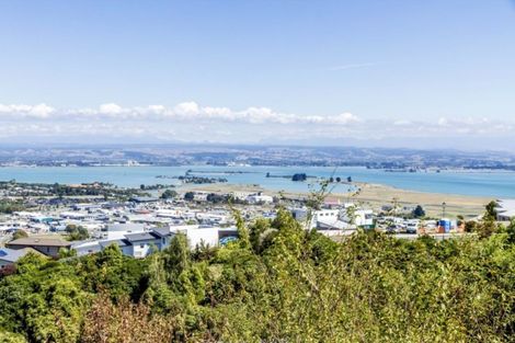 Photo of property in 17 Windsor Drive, Britannia Heights, Nelson, 7010