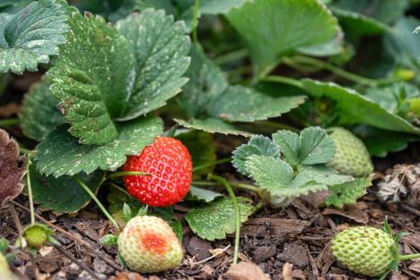 Photo of property in 162 Upokorau Road, Kaeo, 0478