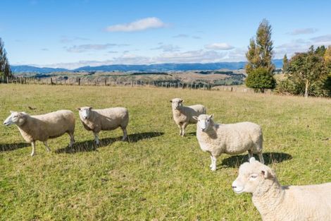 Photo of property in 10 Haggerty Street, Kimbolton, 4774