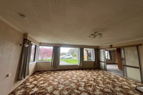 Photo of property in 84 Mackenzie Street, Winton, 9720