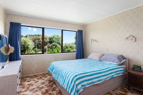 Photo of property in 6767e State Highway 35, Te Kaha, 3199