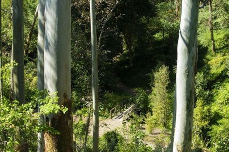 Photo of property in 18 Diana Avenue, Mangapapa, Gisborne, 4010