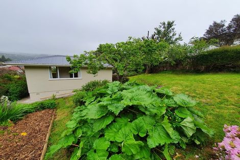 Photo of property in 38 Hillary Street, Liberton, Dunedin, 9010