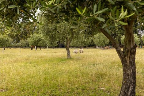 Photo of property in 84 Rarangi Road, Rarangi, Blenheim, 7273