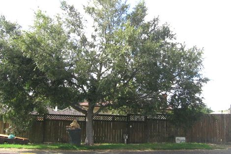 Photo of property in 10 Lippiatt Road, Otahuhu, Auckland, 1062