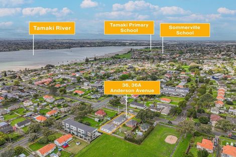 Photo of property in 36 Anderson Avenue, Point England, Auckland, 1072