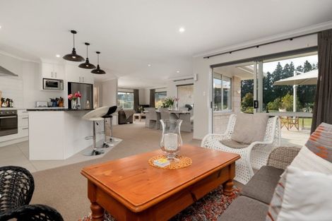 Photo of property in 25c Youngson Road, Whakamarama, Tauranga, 3180