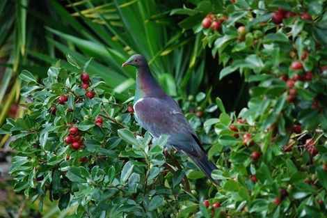 Photo of property in 49 Vale Road, Riverside, Whangarei, 0112