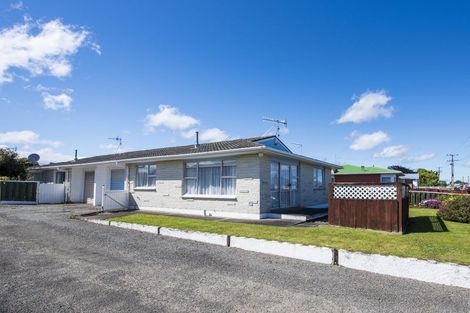 Photo of property in 60c Winchester Street, Levin, 5510