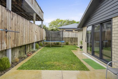 Photo of property in 263b Roche Street, Te Awamutu, 3800