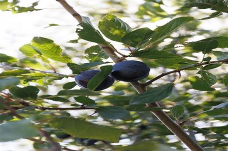 Photo of property in 158 North Avon Road, Richmond, Christchurch, 8013