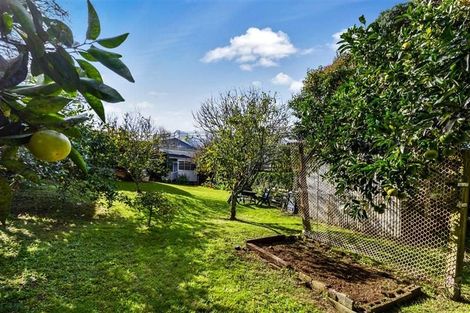 Photo of property in 11 Reimers Avenue, Mount Eden, Auckland, 1024
