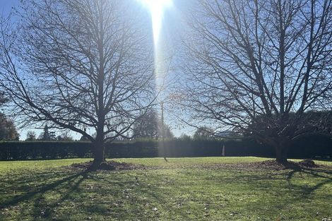 Photo of property in 179 Hautapu Road, Pukemoremore, Cambridge, 3493