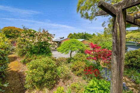 Photo of property in 37 Cassandra Street, Stratford, 4332