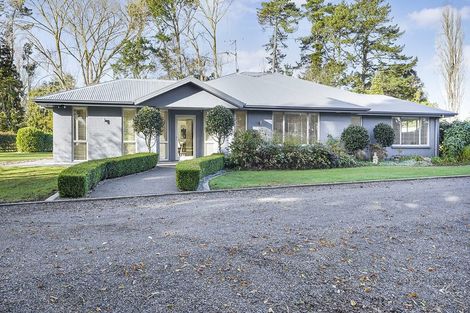 Photo of property in 87b Fuchsia Lane, Tamahere, Hamilton, 3284