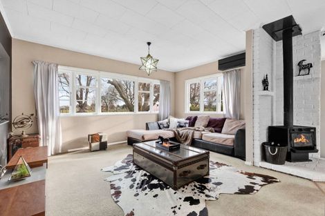 Photo of property in 203 Lamb Street, Leamington, Cambridge, 3432