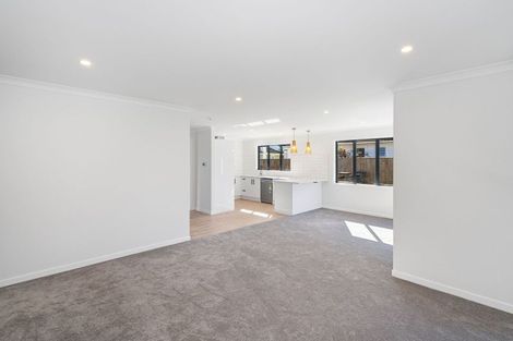 Photo of property in 16a Saint Annes Street, Levin, 5510