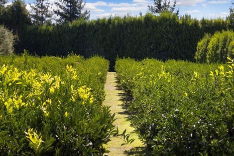 Photo of property in 88b Lockington Road, Aongatete, Katikati, 3181