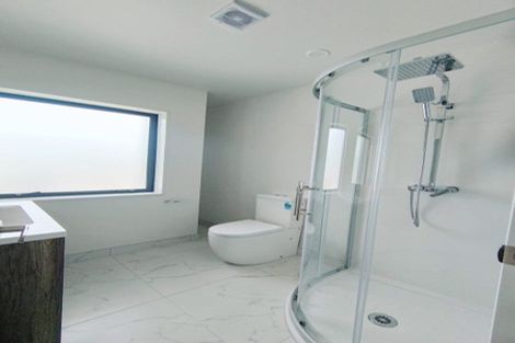 Photo of property in 13b Morton Avenue, Forrest Hill, Auckland, 0620