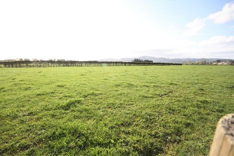 Photo of property in 144 Ford Road, Waihi, 3682