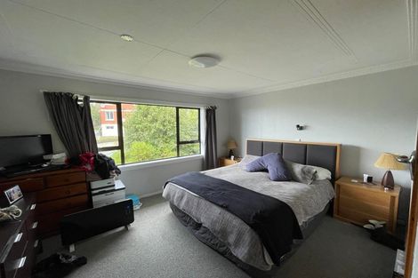 Photo of property in 66 Hawthorn Avenue, Mornington, Dunedin, 9011