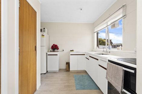 Photo of property in 45 York Street, Hamilton East, Hamilton, 3216