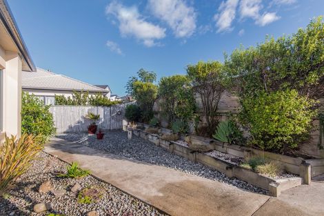 Photo of property in 53 Te Puia Drive, Aotea, Porirua, 5024