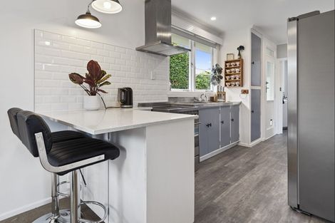 Photo of property in 28 Bongard Street, Gate Pa, Tauranga, 3112