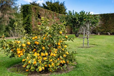 Photo of property in 258 Kauri Point Road, Tahawai, Katikati, 3170