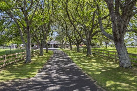 Photo of property in 155 Marshmeadow Road, Newstead, Hamilton, 3286