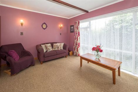 Photo of property in 133 Harland Street, Tinwald, Ashburton, 7700