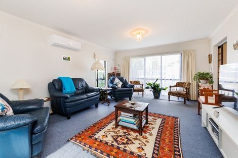 Photo of property in 101 Lincoln Street, Ashhurst, 4810