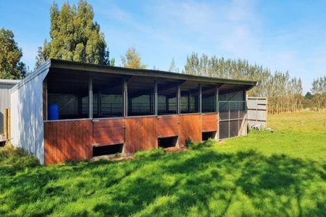 Photo of property in 203 Kelvin Road, Waimumu, Gore, 9774