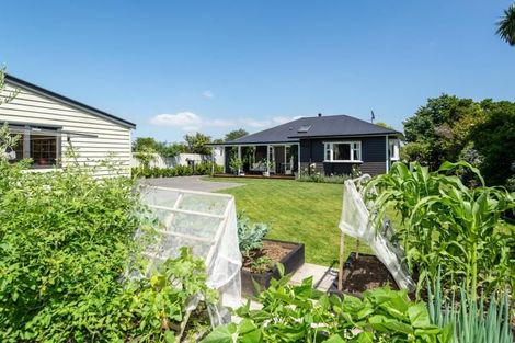 Photo of property in 60 Petrie Street, Richmond, Christchurch, 8013