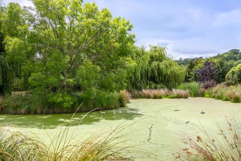 Photo of property in 672g Te Whiti Road, Te Whiti, Masterton, 5884