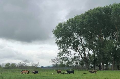 Photo of property in 75 Paetai Road, Ohinewai, Te Kauwhata, 3771