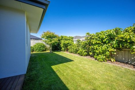 Photo of property in 45 Berryfield Drive, Richmond, 7020